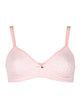 1450 Unlined triangle bra cup B