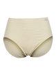3007 maxi briefs in microfibre pack of 2 pieces
