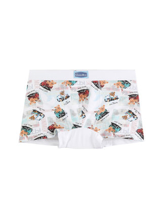 Boy's boxer shorts with prints