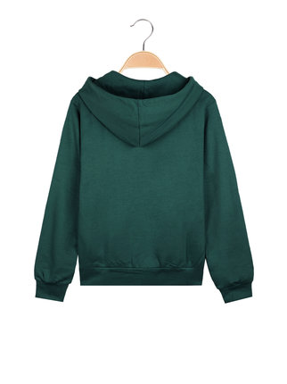 Boys' hooded sweatshirt in fleece cotton