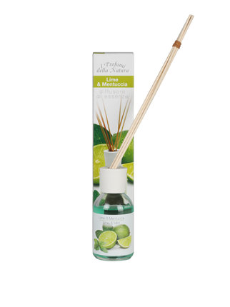Room diffuser with Lime and Mint sticks