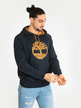 TB0A2FE4 Men's cotton sweatshirt with hood
