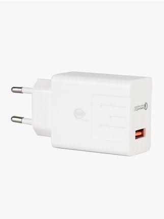 Wall charger
