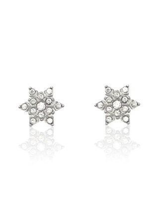 Women's steel star earrings